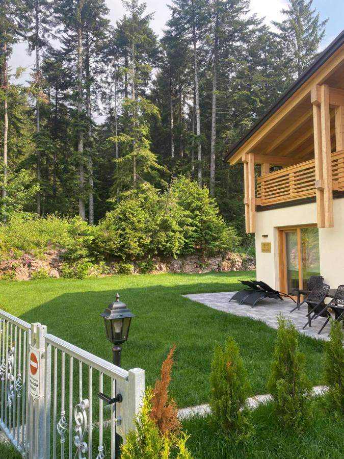 Chalet Relax Molveno E Andalo Dolomiti Villa Ngoại thất bức ảnh