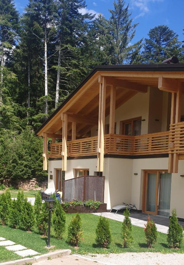 Chalet Relax Molveno E Andalo Dolomiti Villa Ngoại thất bức ảnh
