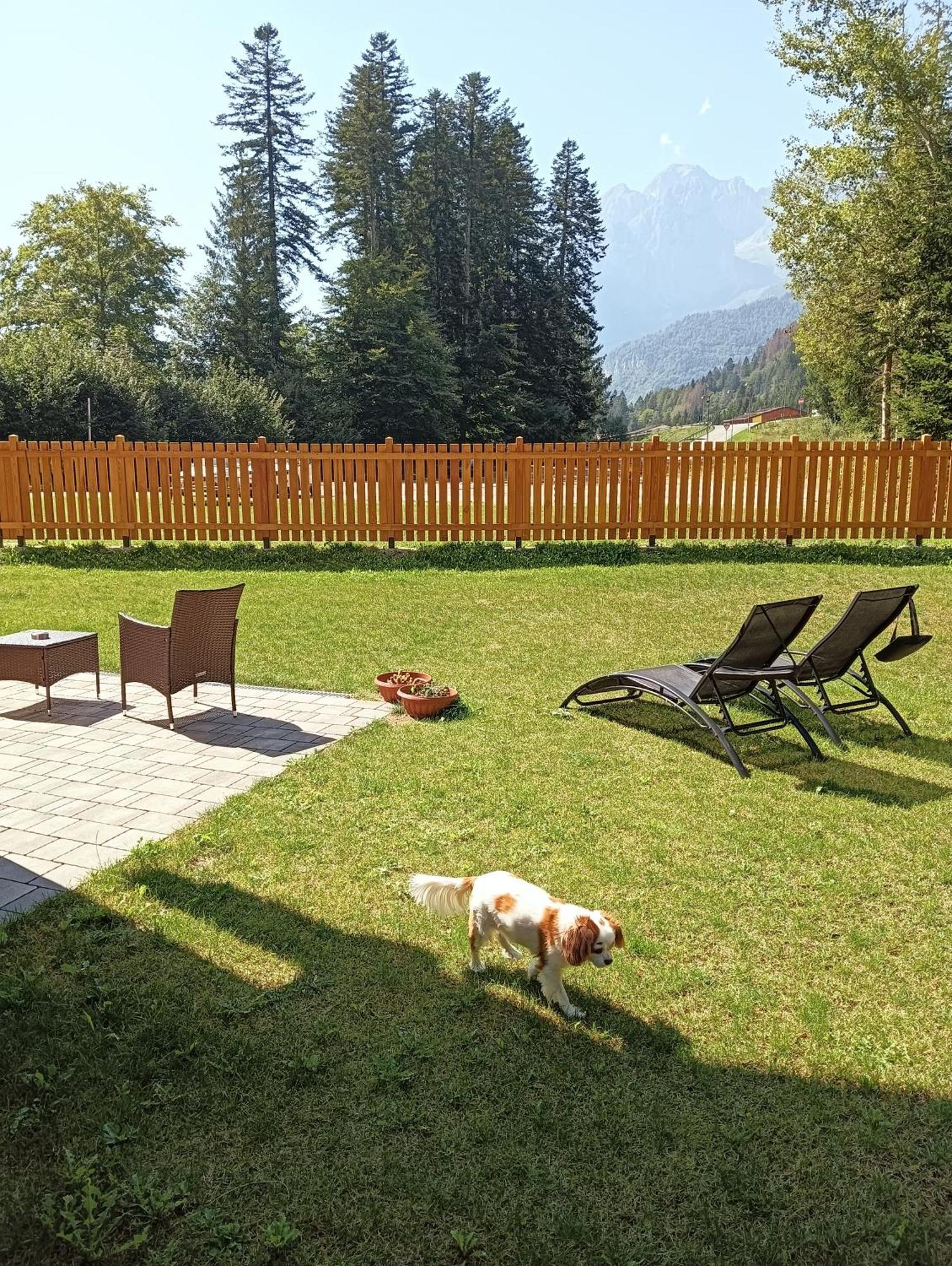 Chalet Relax Molveno E Andalo Dolomiti Villa Ngoại thất bức ảnh