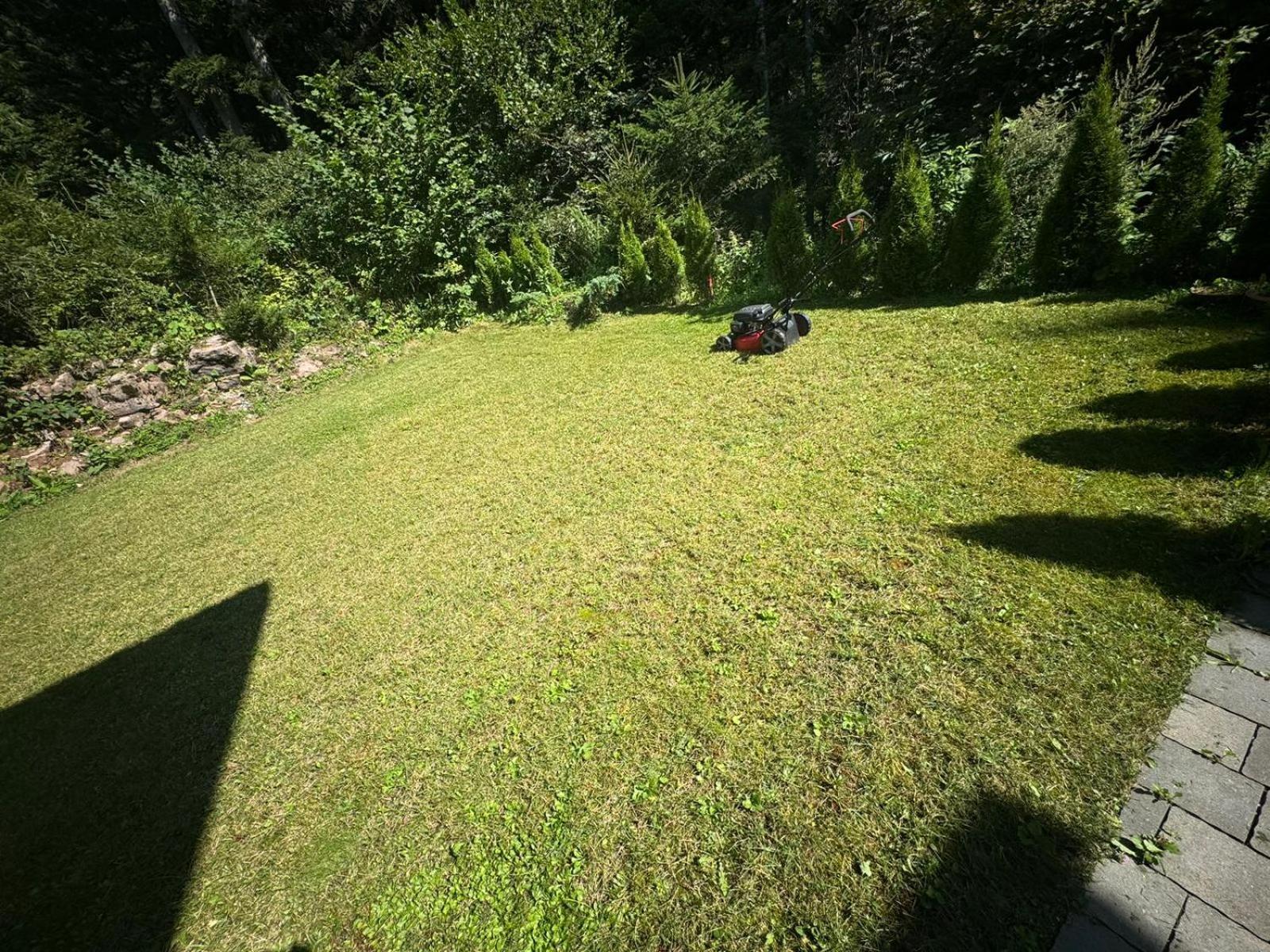 Chalet Relax Molveno E Andalo Dolomiti Villa Ngoại thất bức ảnh